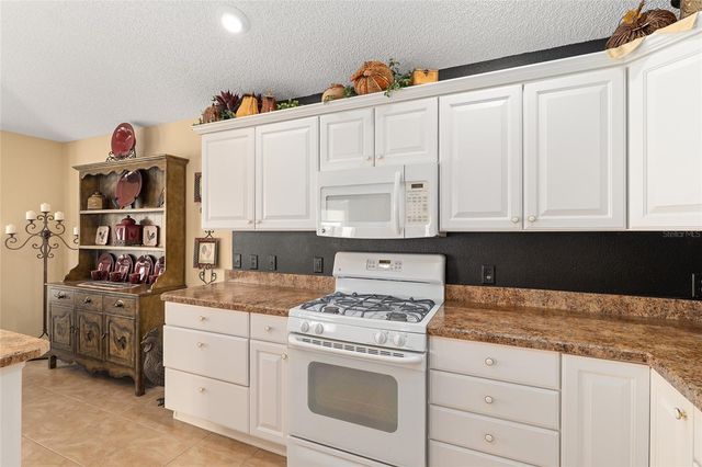 977 CARIBOU WAY, The Villages, FL 32162