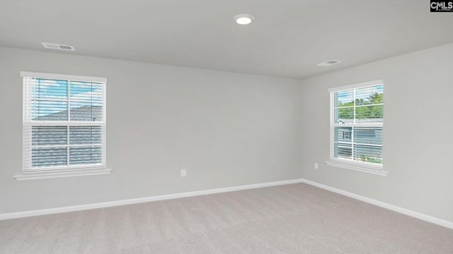 214 Livingston Woods Drive, Irmo, SC 29063