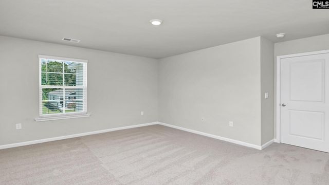 214 Livingston Woods Drive, Irmo, SC 29063