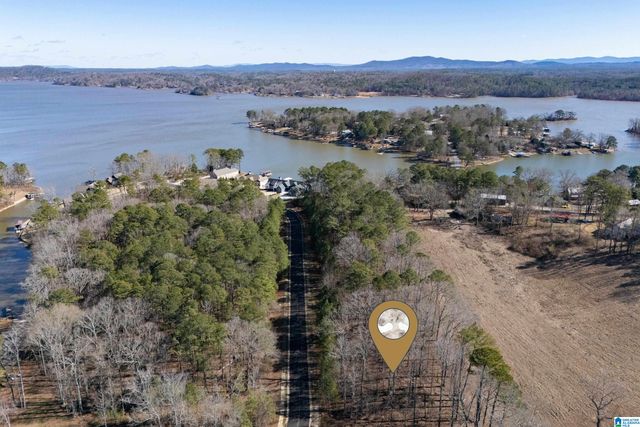 100 COVES DRIVE, Vincent, AL 35178