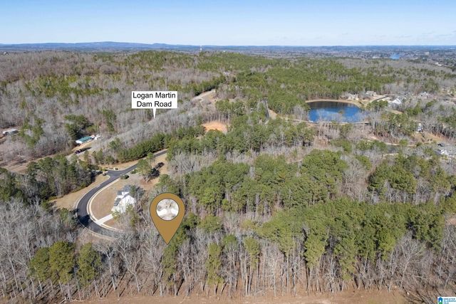 100 COVES DRIVE, Vincent, AL 35178