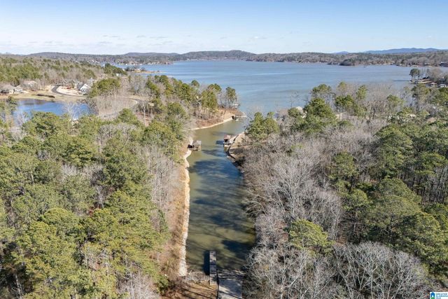 100 COVES DRIVE, Vincent, AL 35178