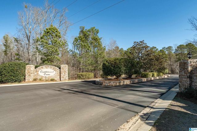 100 COVES DRIVE, Vincent, AL 35178