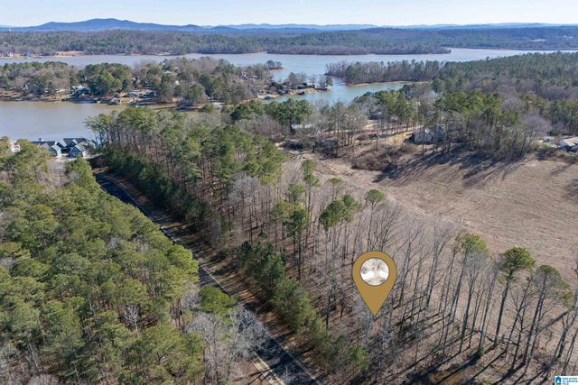 100 COVES DRIVE, Vincent, AL 35178