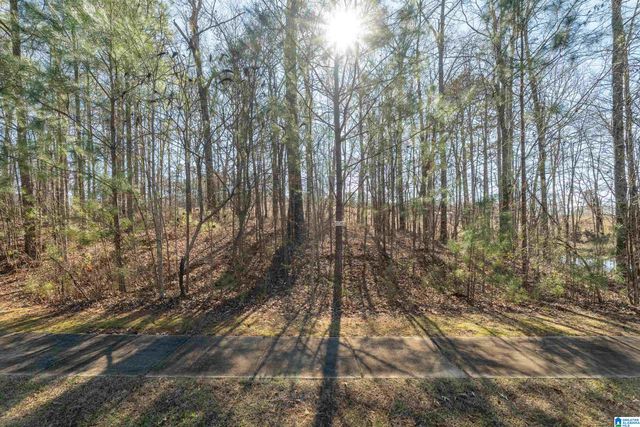 100 COVES DRIVE, Vincent, AL 35178