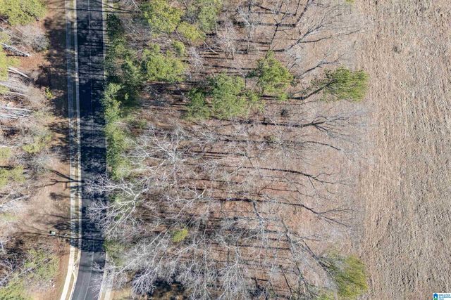 100 COVES DRIVE, Vincent, AL 35178