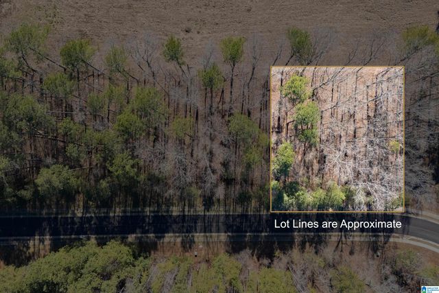 100 COVES DRIVE, Vincent, AL 35178