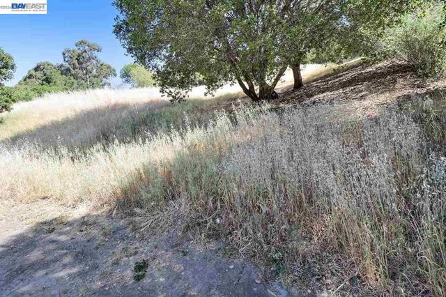 Outlook Ave, Oakland, CA 94608