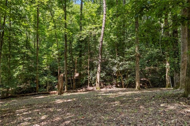 439 Nighthawk View, Demorest, GA 30535