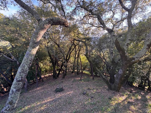 14885 Mcdonough Heights Rd, Healdsburg, CA 95448