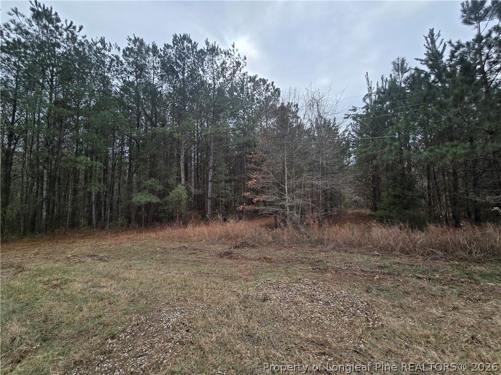 3162 murphy Road, Fayetteville, NC 28312 — photo 3