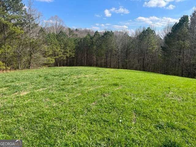3011 Mark Foster Road, Talking Rock, GA 30175