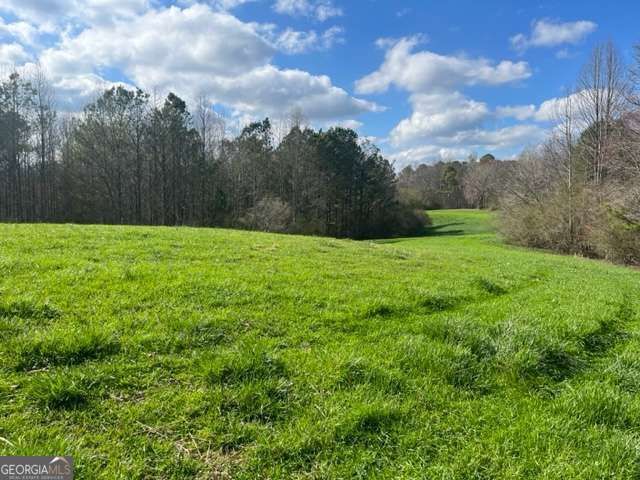 3011 Mark Foster Road, Talking Rock, GA 30175