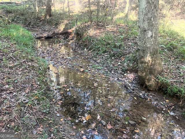 3011 Mark Foster Road, Talking Rock, GA 30175