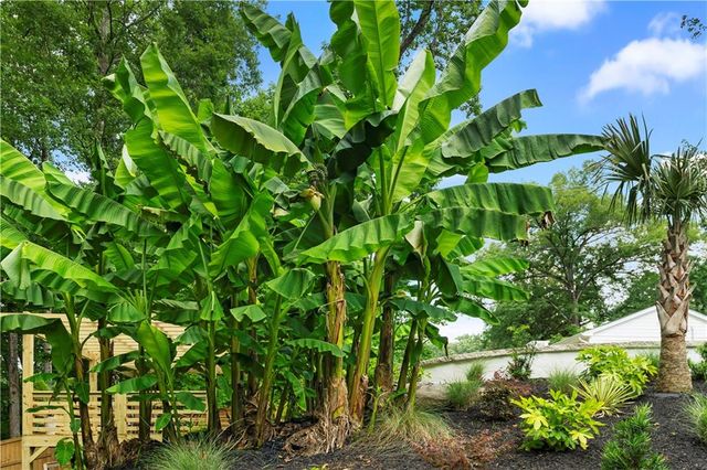 2454 Caladium NE Drive, Atlanta, GA 30345