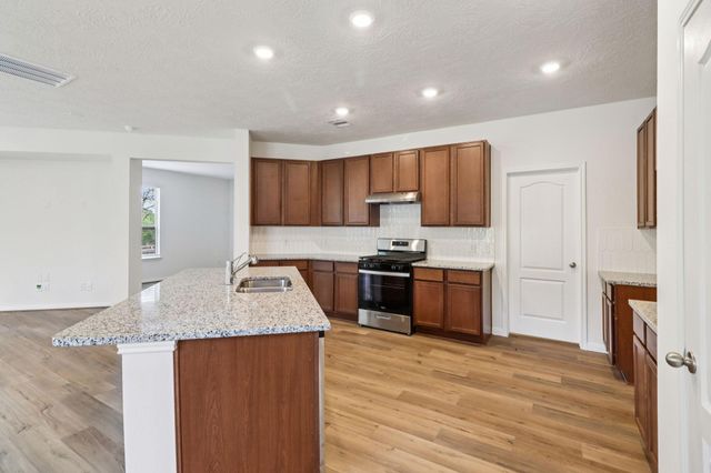 710 Appaloosa Meadow Drive, Magnolia, TX 77354