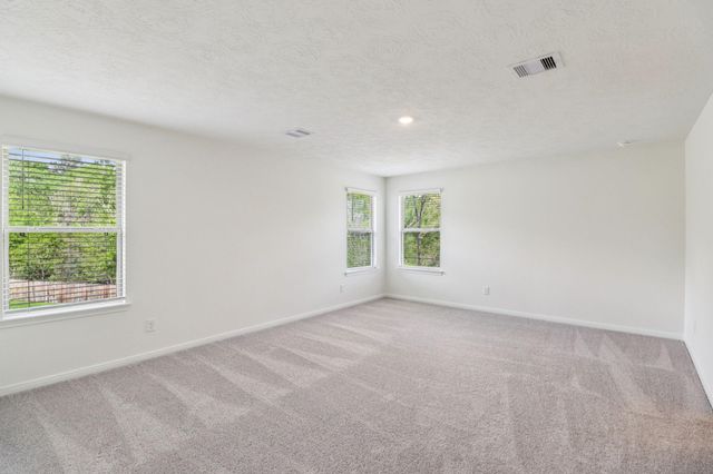 710 Appaloosa Meadow Drive, Magnolia, TX 77354