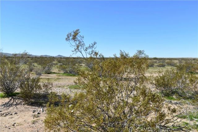 24 Frontier, Helendale, CA 92342