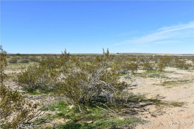 24 Frontier, Helendale, CA 92342