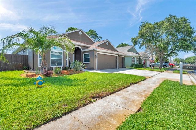 1747 WOOD BROOK STREET, Tarpon Springs, FL 34689