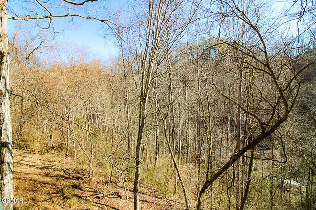 316 Saddleback Way, Sevierville, TN 37862