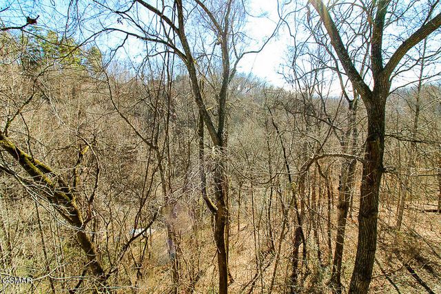 316 Saddleback Way, Sevierville, TN 37862