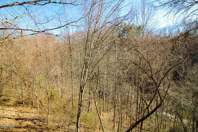 316 Saddleback Way, Sevierville, TN 37862