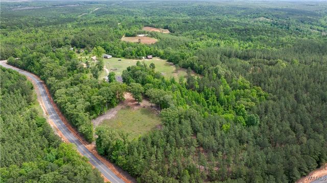 15293 Watermelon, Tuscaloosa, AL 35406