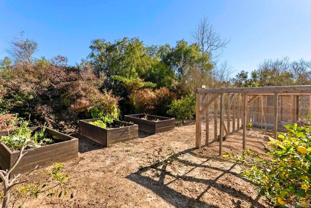 16636 El Zorro Vista, Rancho Santa Fe, CA 92067