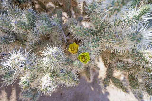 60194 La Mirada Trail, Joshua Tree, CA 92252