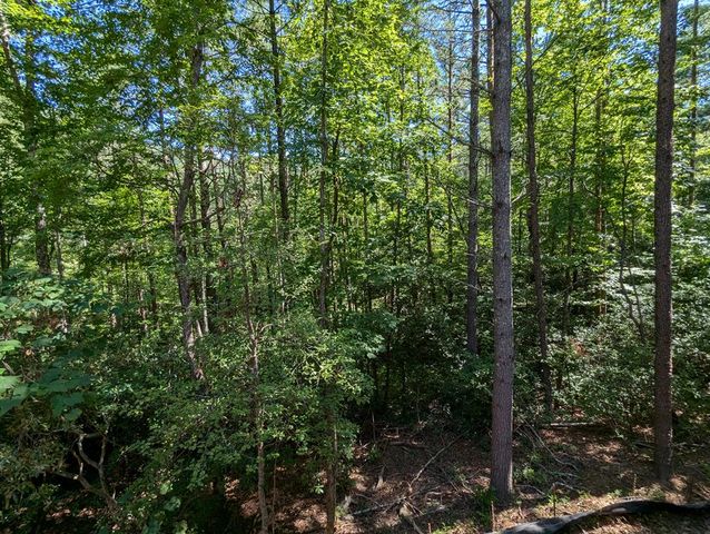 5860 Old Bucktown Road, Ellijay, GA 30536