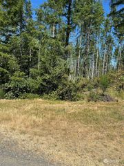 500 E Morris Creek Drive, Belfair, WA 98528