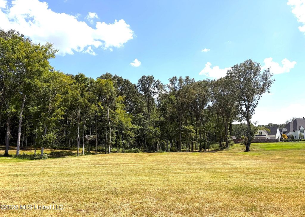 870 Red Cedar Loop, Hernando, MS 38632 — photo 3