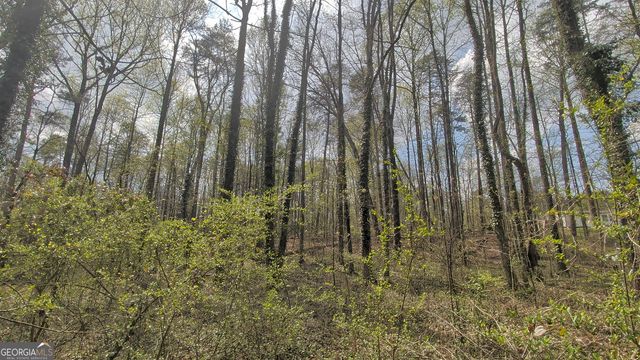 0 Wits End, Gainesville, GA 30506