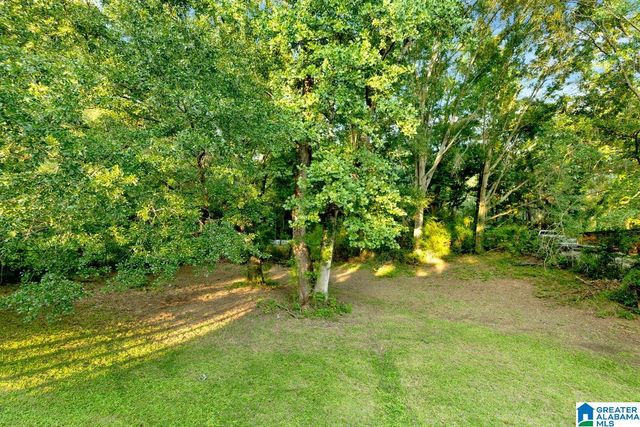 6420 WHITE COURT, Bessemer, AL 35023