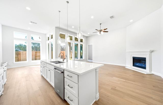 9746 Roaring River Falls Lane, Porter, TX 77365