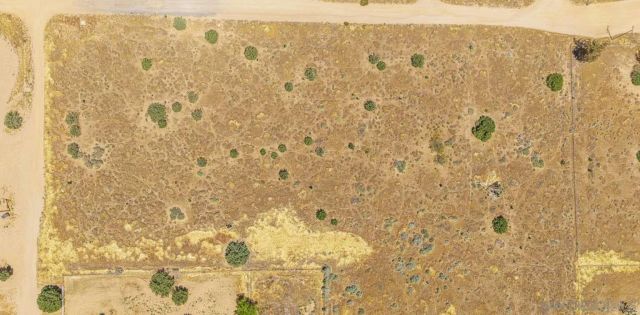 0 Trinidad RD 7, Phelan, CA 92371