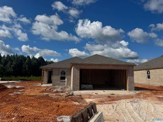 239 Delta Dawn Avenue, Toney, AL 35773