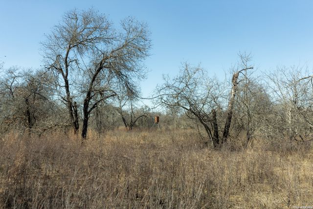 461 County Road 6723, Natalia, TX 78059