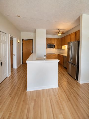 9355 W Irving Park Road 509, Schiller Park, IL 60176