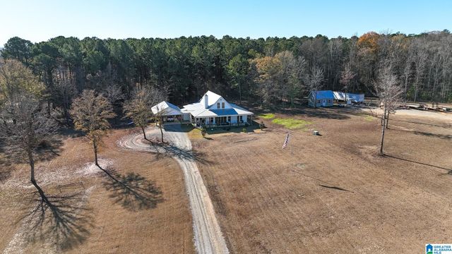 11 PINEWELL DRIVE, Cropwell, AL 35054