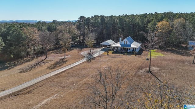11 PINEWELL DRIVE, Cropwell, AL 35054