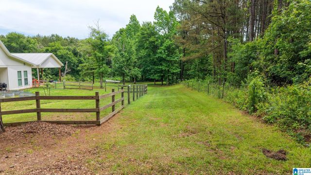 11 PINEWELL DRIVE, Cropwell, AL 35054