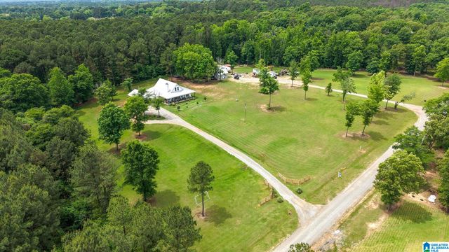 11 PINEWELL DRIVE, Cropwell, AL 35054