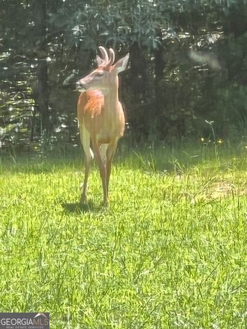 265 Evans Drive, Buchanan, GA 30113