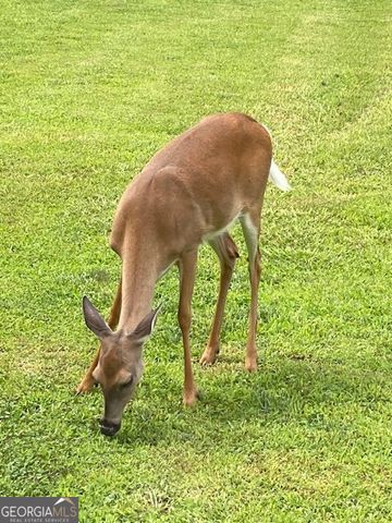 265 Evans Drive, Buchanan, GA 30113