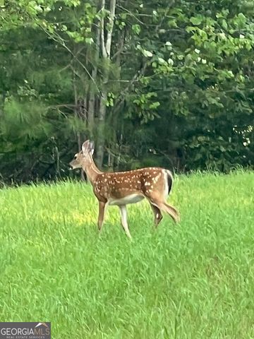 265 Evans Drive, Buchanan, GA 30113