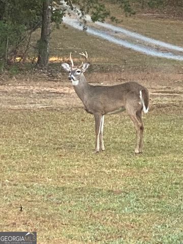 265 Evans Drive, Buchanan, GA 30113