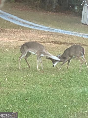 265 Evans Drive, Buchanan, GA 30113