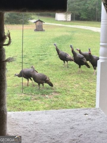 265 Evans Drive, Buchanan, GA 30113